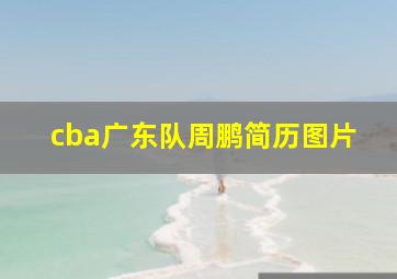 cba广东队周鹏简历图片