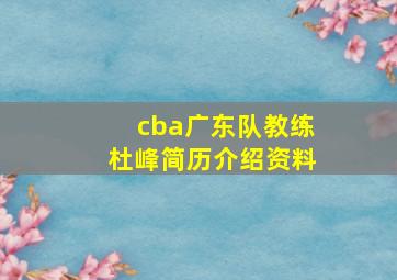 cba广东队教练杜峰简历介绍资料