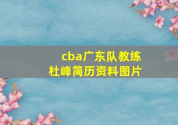 cba广东队教练杜峰简历资料图片