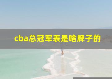 cba总冠军表是啥牌子的