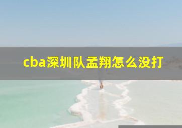 cba深圳队孟翔怎么没打