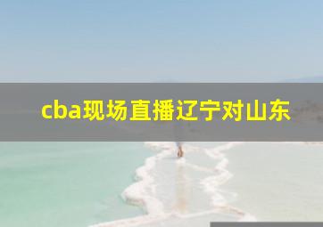 cba现场直播辽宁对山东