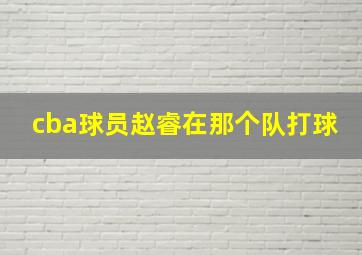 cba球员赵睿在那个队打球