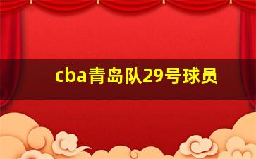 cba青岛队29号球员