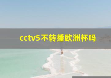 cctv5不转播欧洲杯吗