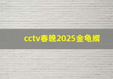 cctv春晚2025金龟婿