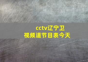 cctv辽宁卫视频道节目表今天