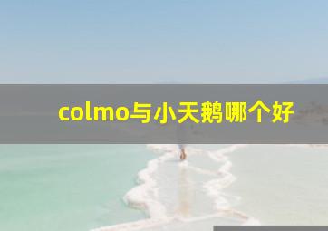 colmo与小天鹅哪个好