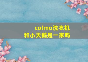 colmo洗衣机和小天鹅是一家吗