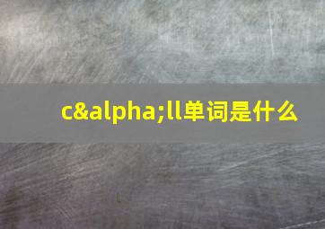 cαll单词是什么