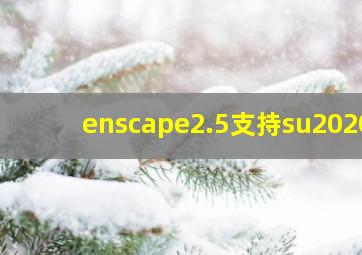 enscape2.5支持su2020