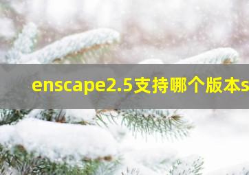 enscape2.5支持哪个版本su