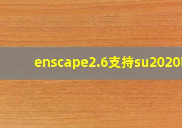 enscape2.6支持su2020吗