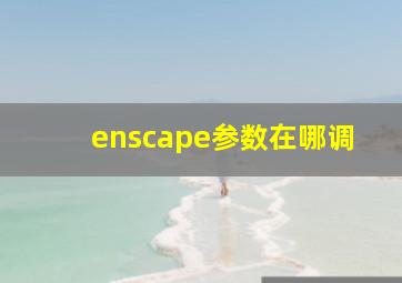 enscape参数在哪调