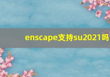 enscape支持su2021吗