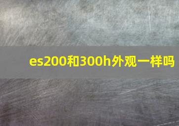 es200和300h外观一样吗