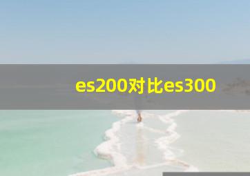 es200对比es300