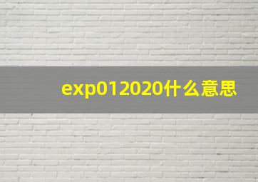 exp012020什么意思