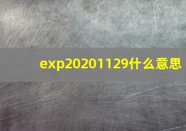 exp20201129什么意思