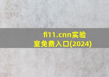 fi11.cnn实验室免费入口(2024)