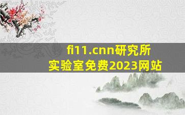 fi11.cnn研究所实验室免费2023网站