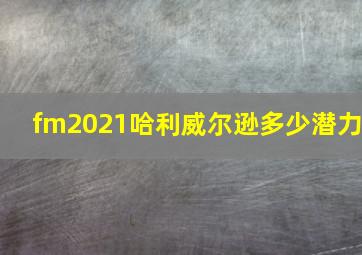 fm2021哈利威尔逊多少潜力