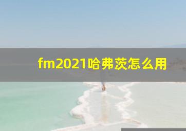 fm2021哈弗茨怎么用