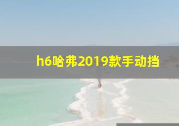 h6哈弗2019款手动挡