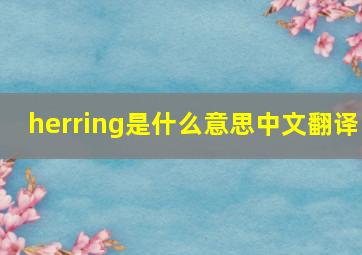 herring是什么意思中文翻译