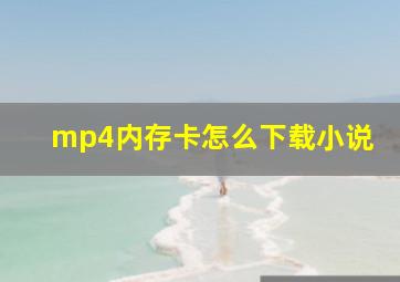 mp4内存卡怎么下载小说