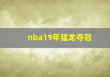 nba19年猛龙夺冠