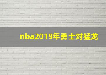 nba2019年勇士对猛龙