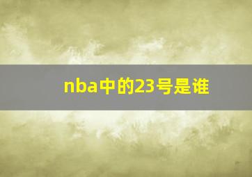 nba中的23号是谁