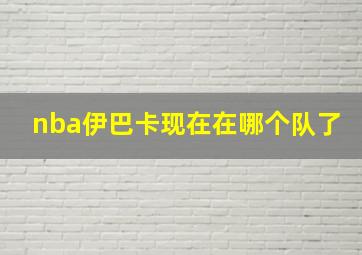 nba伊巴卡现在在哪个队了