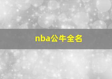 nba公牛全名