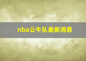 nba公牛队最新消息