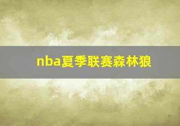 nba夏季联赛森林狼