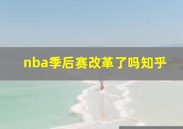 nba季后赛改革了吗知乎