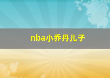 nba小乔丹儿子