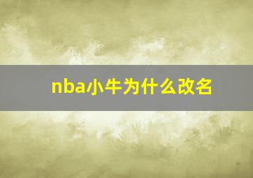 nba小牛为什么改名