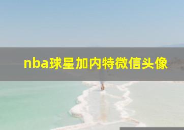 nba球星加内特微信头像