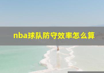 nba球队防守效率怎么算