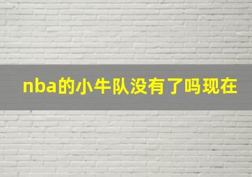 nba的小牛队没有了吗现在