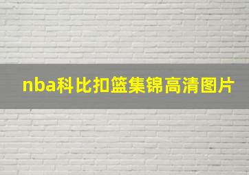 nba科比扣篮集锦高清图片