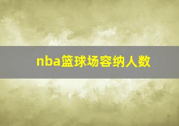 nba篮球场容纳人数