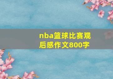 nba篮球比赛观后感作文800字