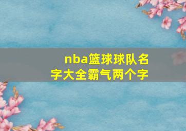 nba篮球球队名字大全霸气两个字