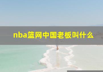 nba篮网中国老板叫什么