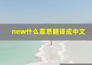 new什么意思翻译成中文