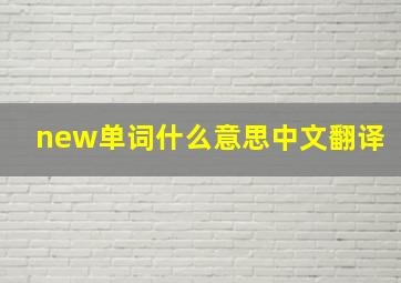 new单词什么意思中文翻译